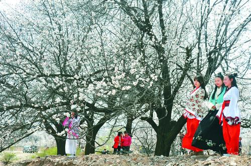 小七手游官网下载 游戏平台